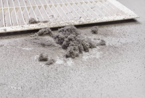 Best Local Air Duct Cleaning Services  in Fletcher, NC