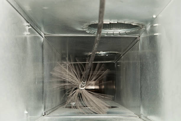 Best Air Duct Mold Removal  in Fletcher, NC